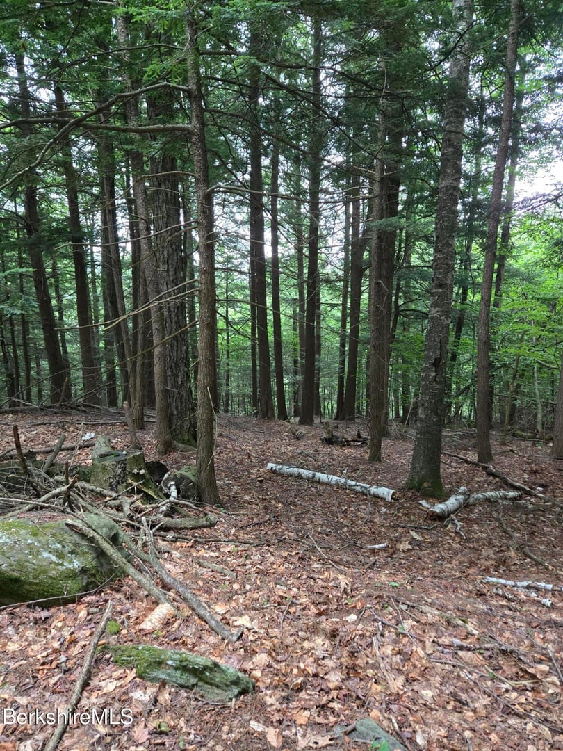 0 Monroe Rd Photo 6