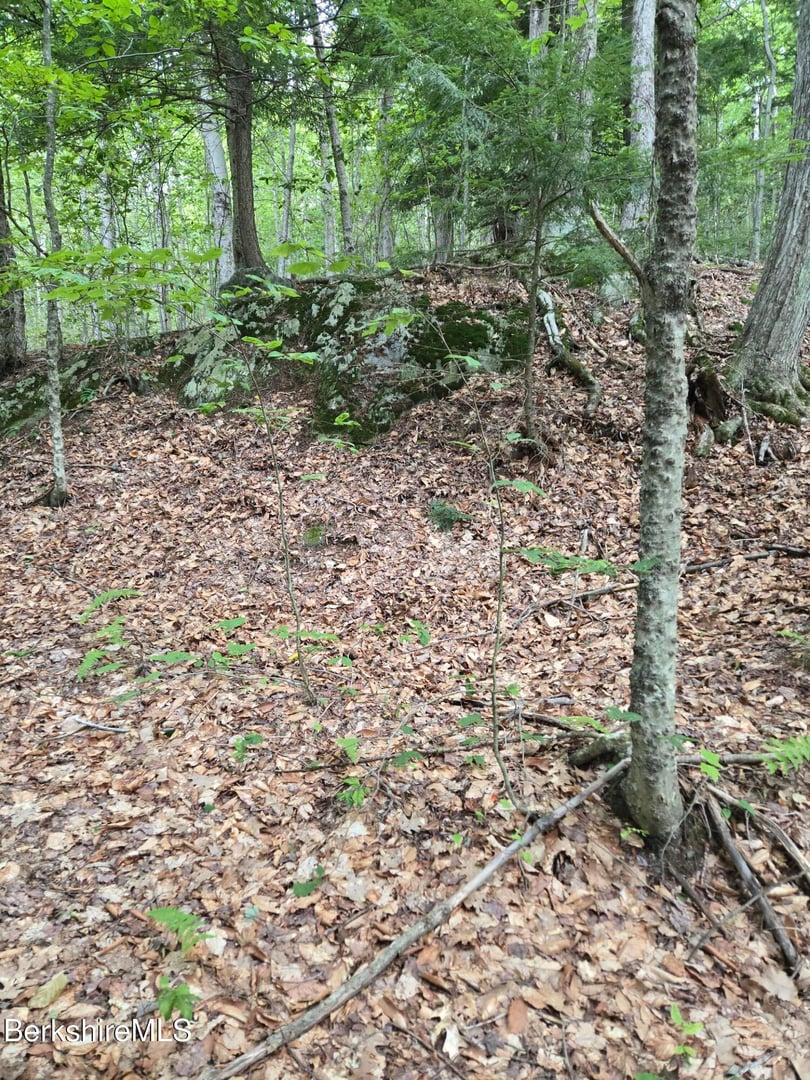 0 Monroe Rd Photo 13