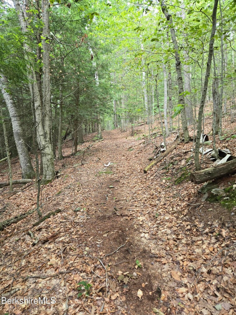 0 Monroe Rd Photo 4