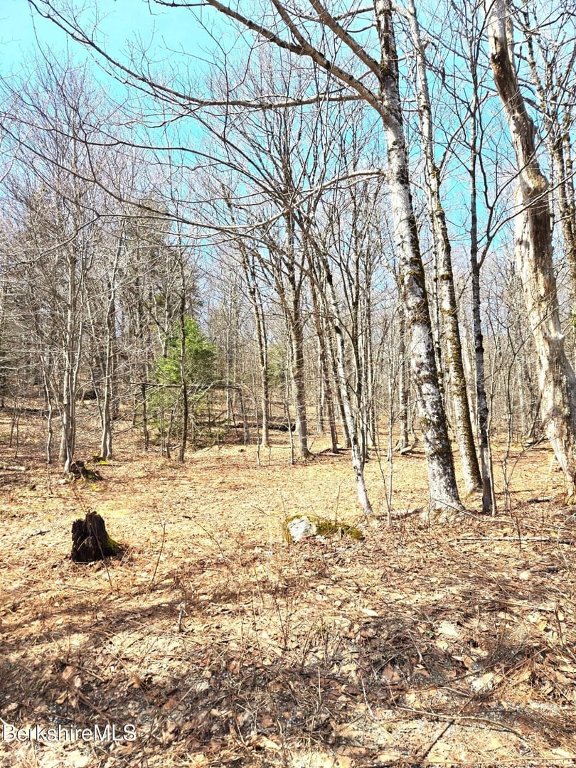 29 Moore's Rd Photo 1