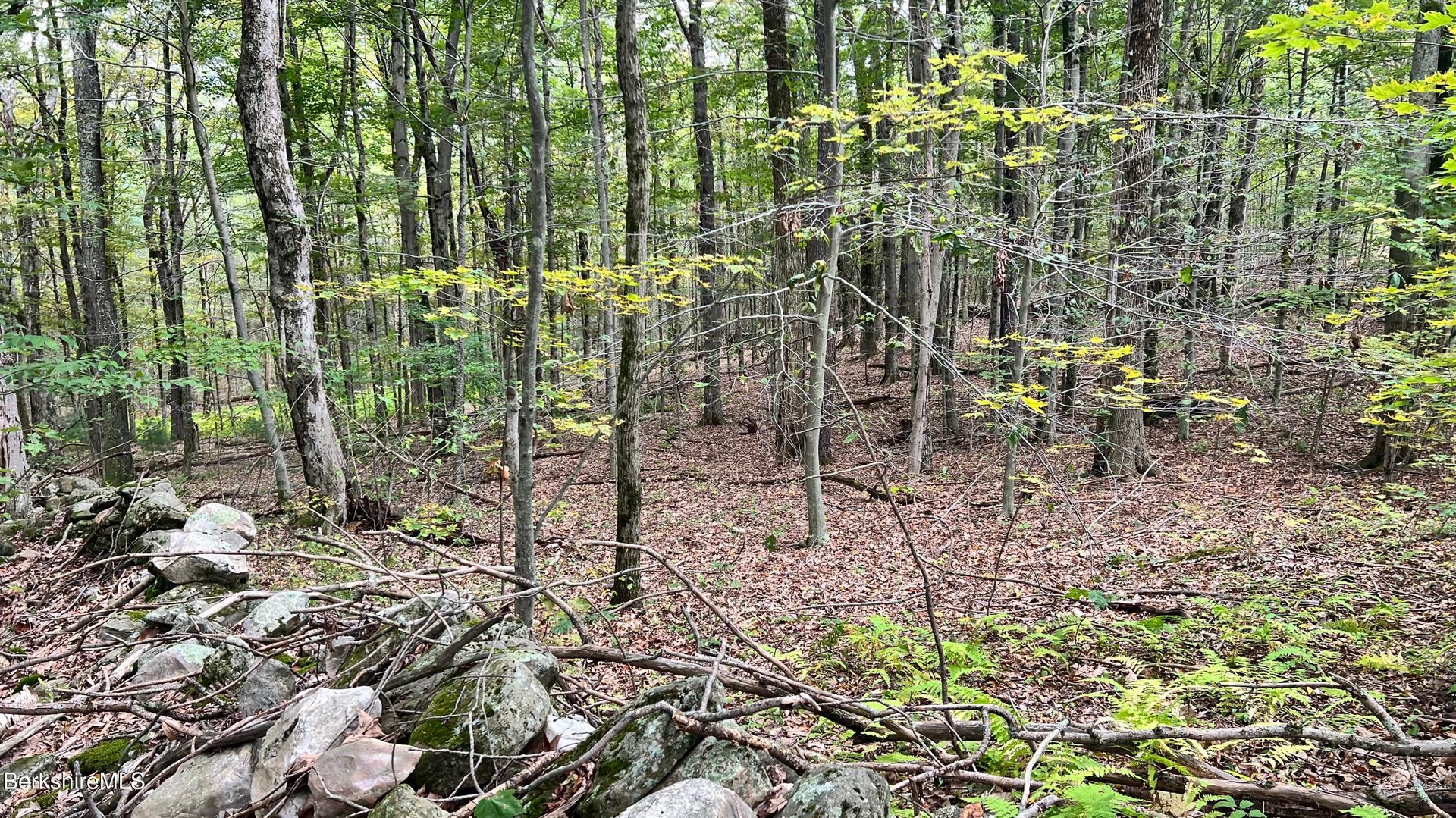 Lot 3 / 0 Rood Hill Rd Photo 7