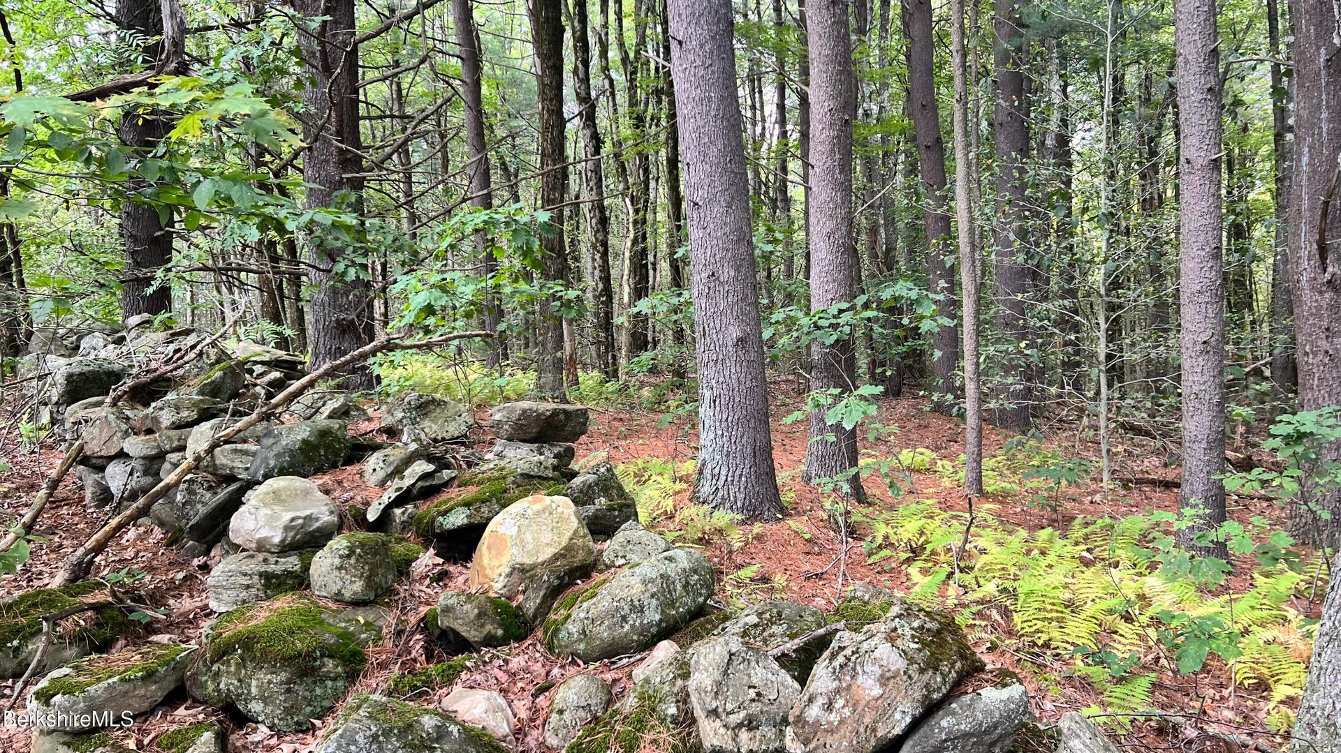 Lot 3 / 0 Rood Hill Rd Photo 4