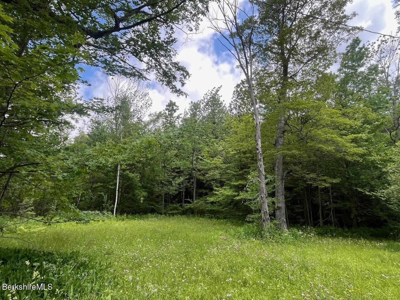 477 Mohawk Trail Photo 4