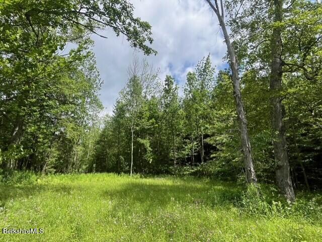 477 Mohawk Trail Photo 8