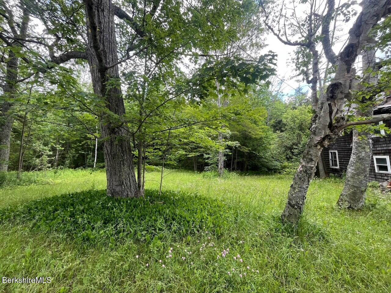 477 Mohawk Trail Photo 3