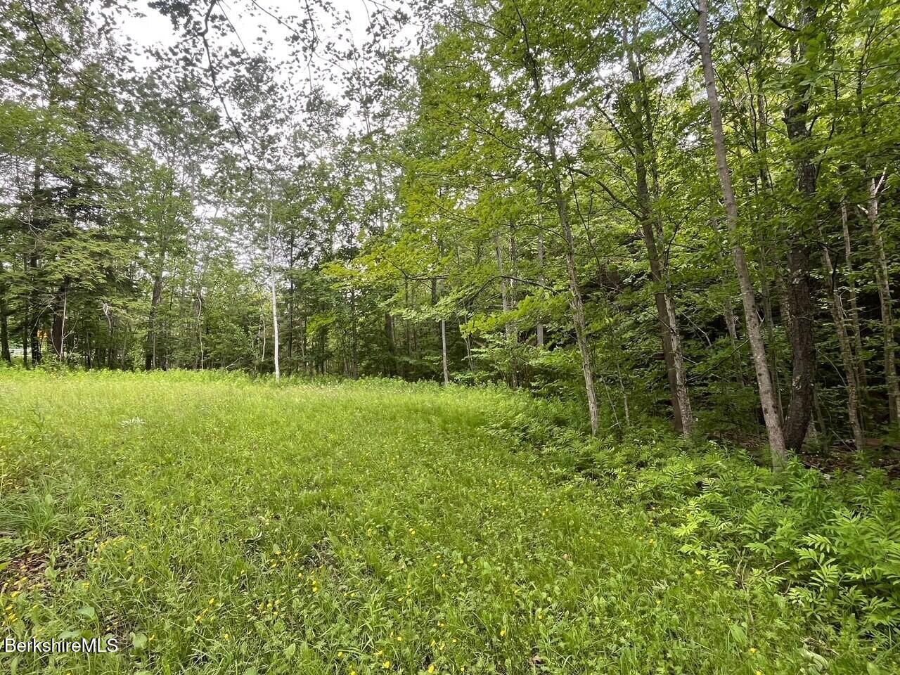 477 Mohawk Trail Photo 7