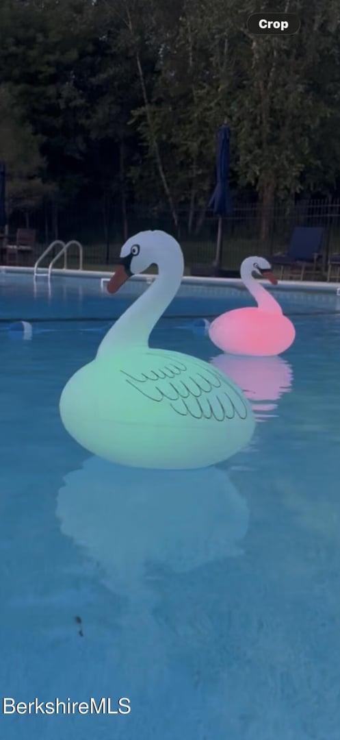 581 Red Barn Rd Photo 65