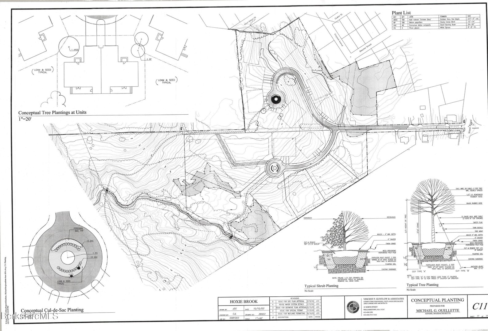 Lot 9 W Maple St Photo 9