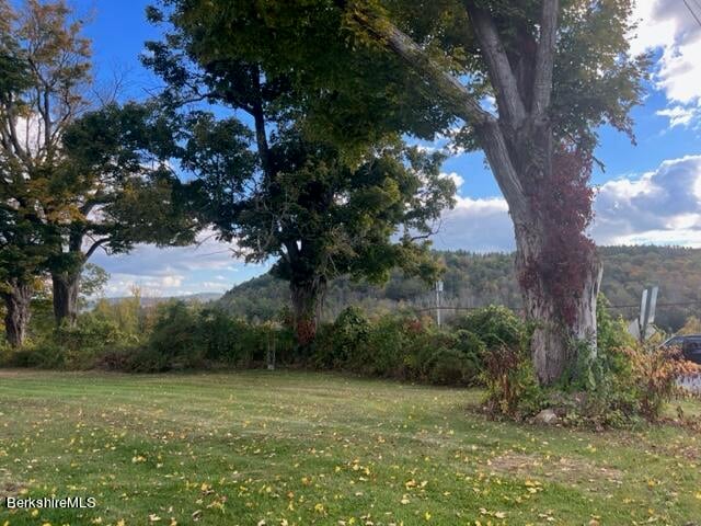 Main Rd & George Canon Photo 3