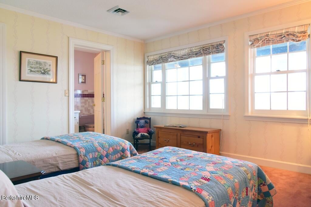 84 B Undermountain Rd Photo 52