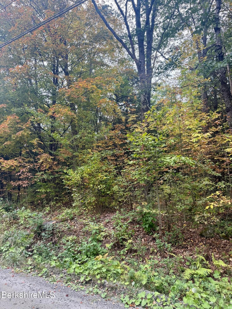 0 North Beech Plain Rd Photo 9