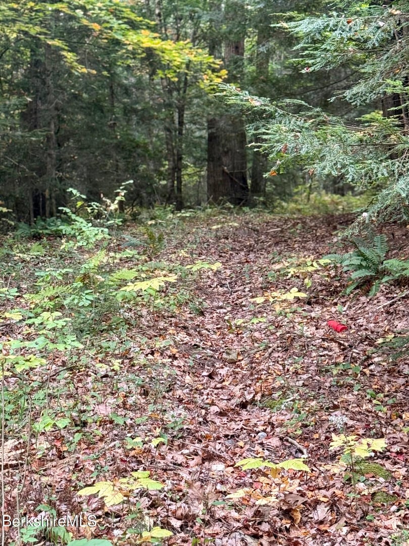 0 North Beech Plain Rd Photo 5