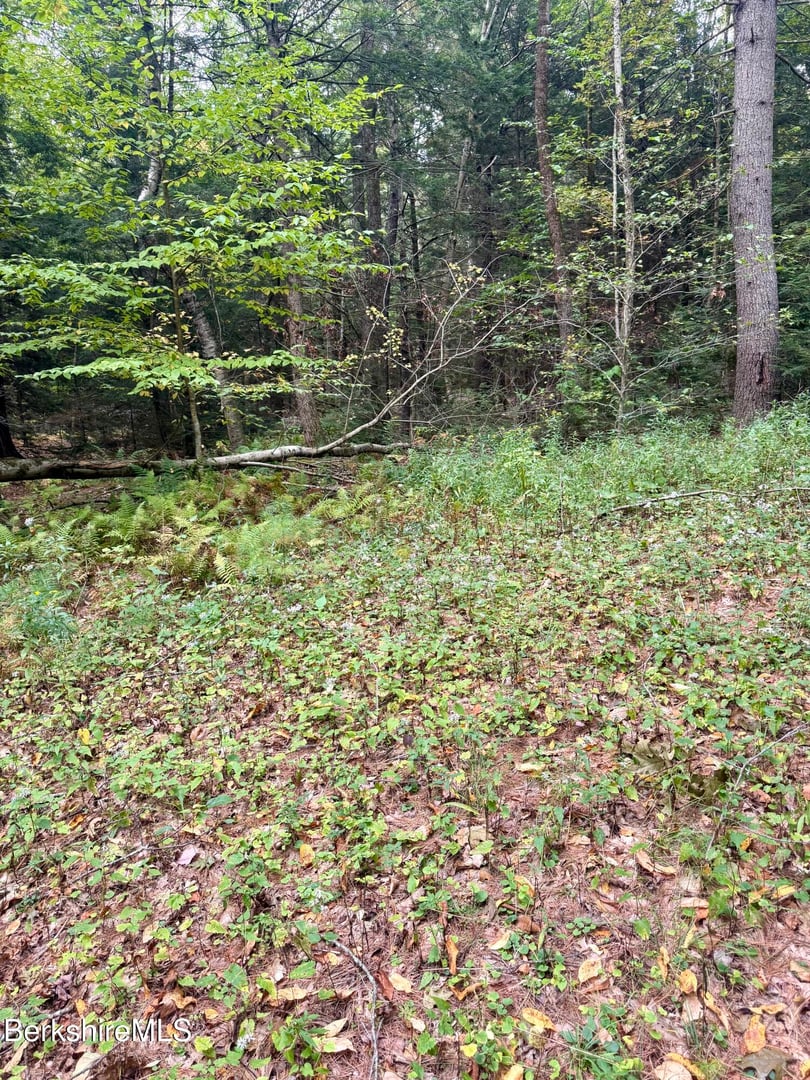 0 North Beech Plain Rd Photo 8