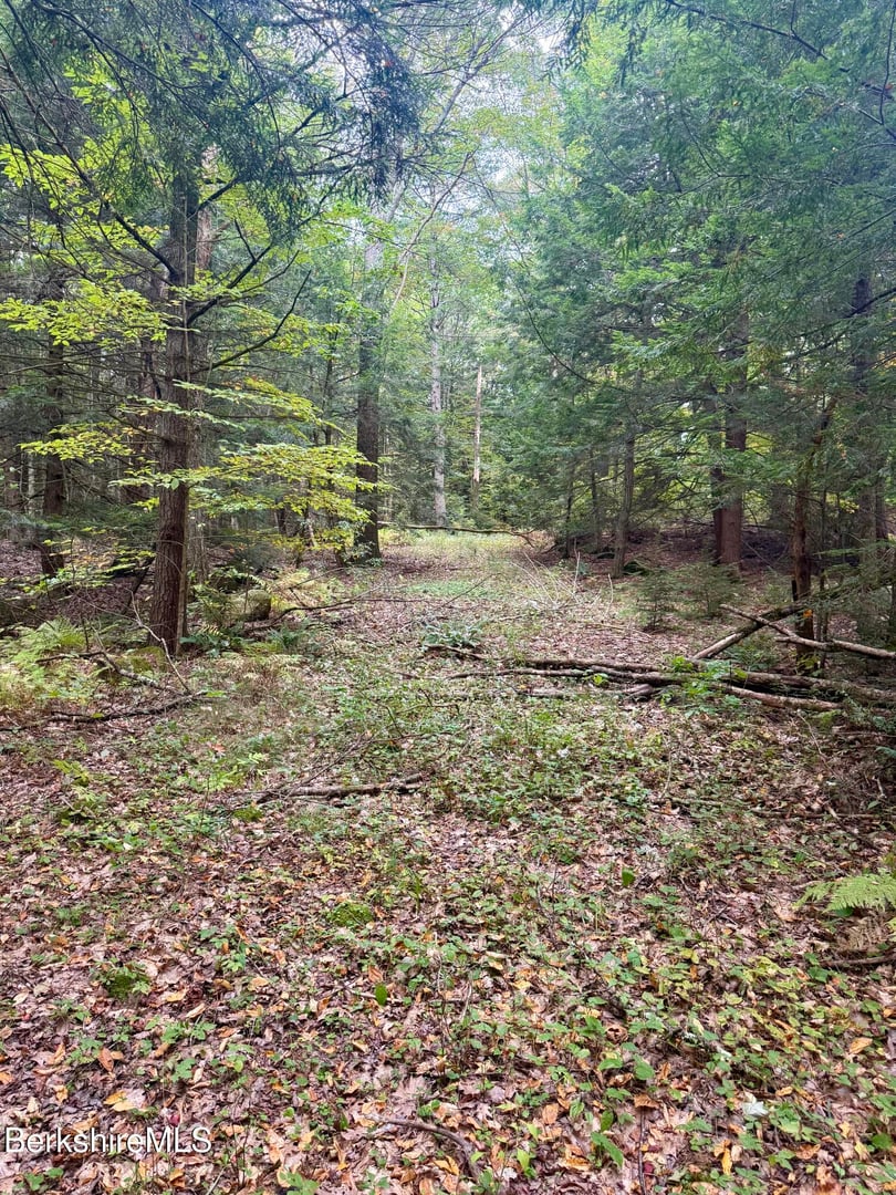 0 North Beech Plain Rd Photo 6