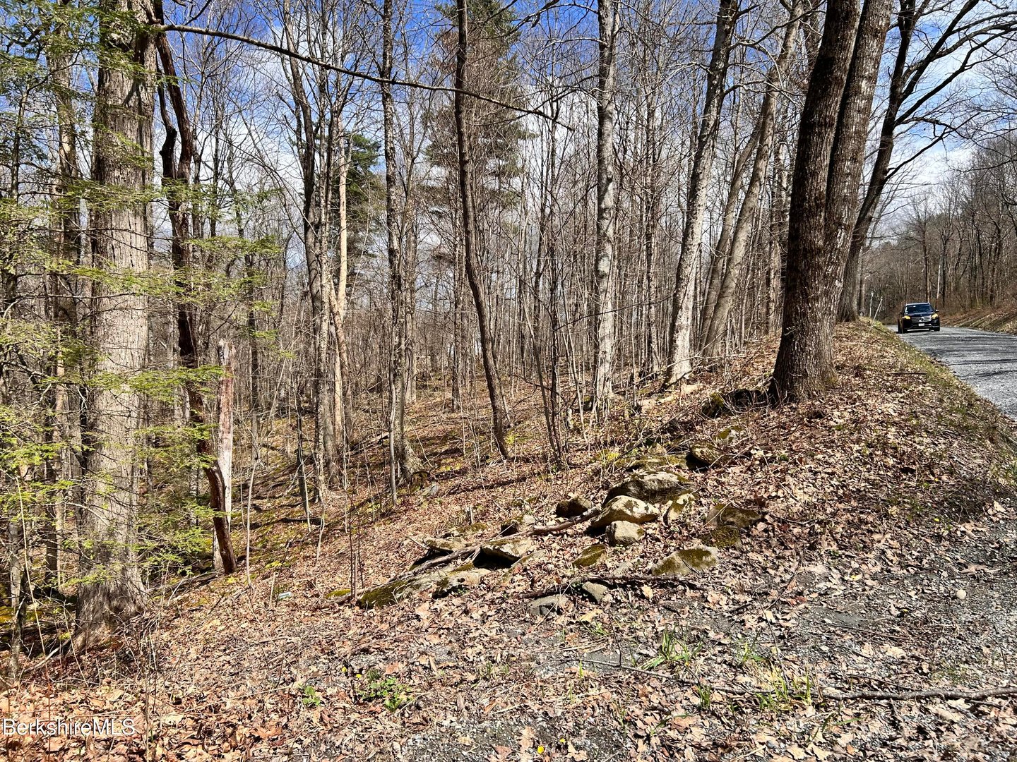 0 Goose Pond (lot #4) Rd Photo 2
