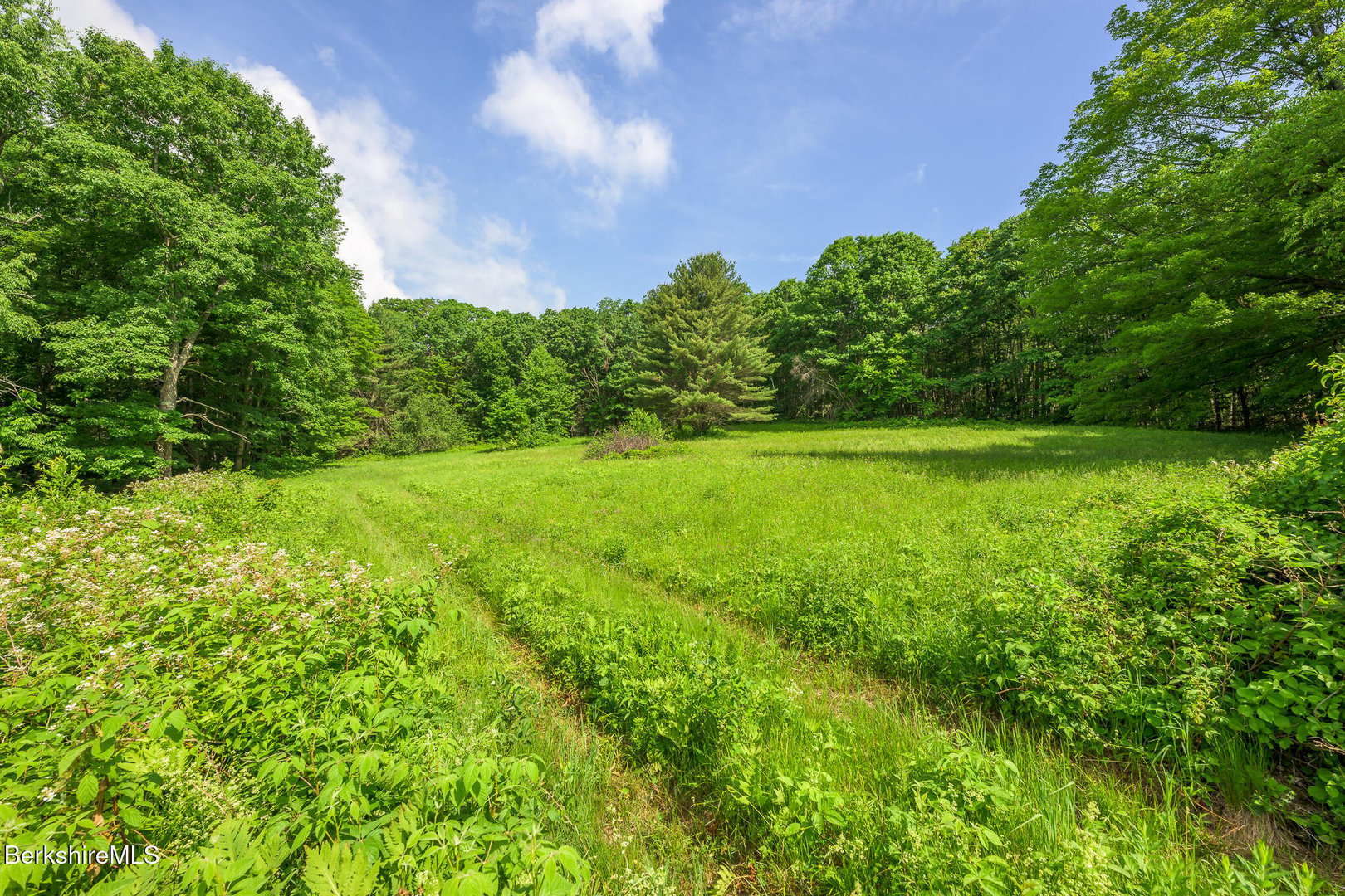 161 Beartown Mountain Rd Photo 56