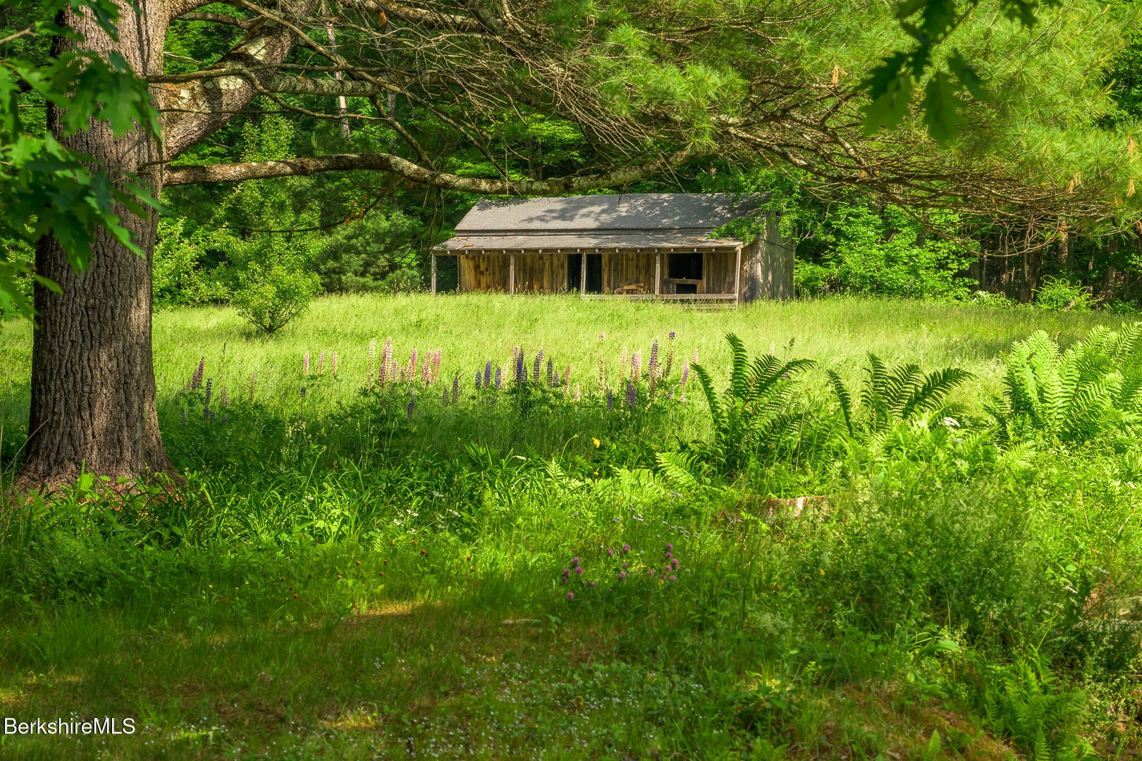 161 Beartown Mountain Rd Photo 55