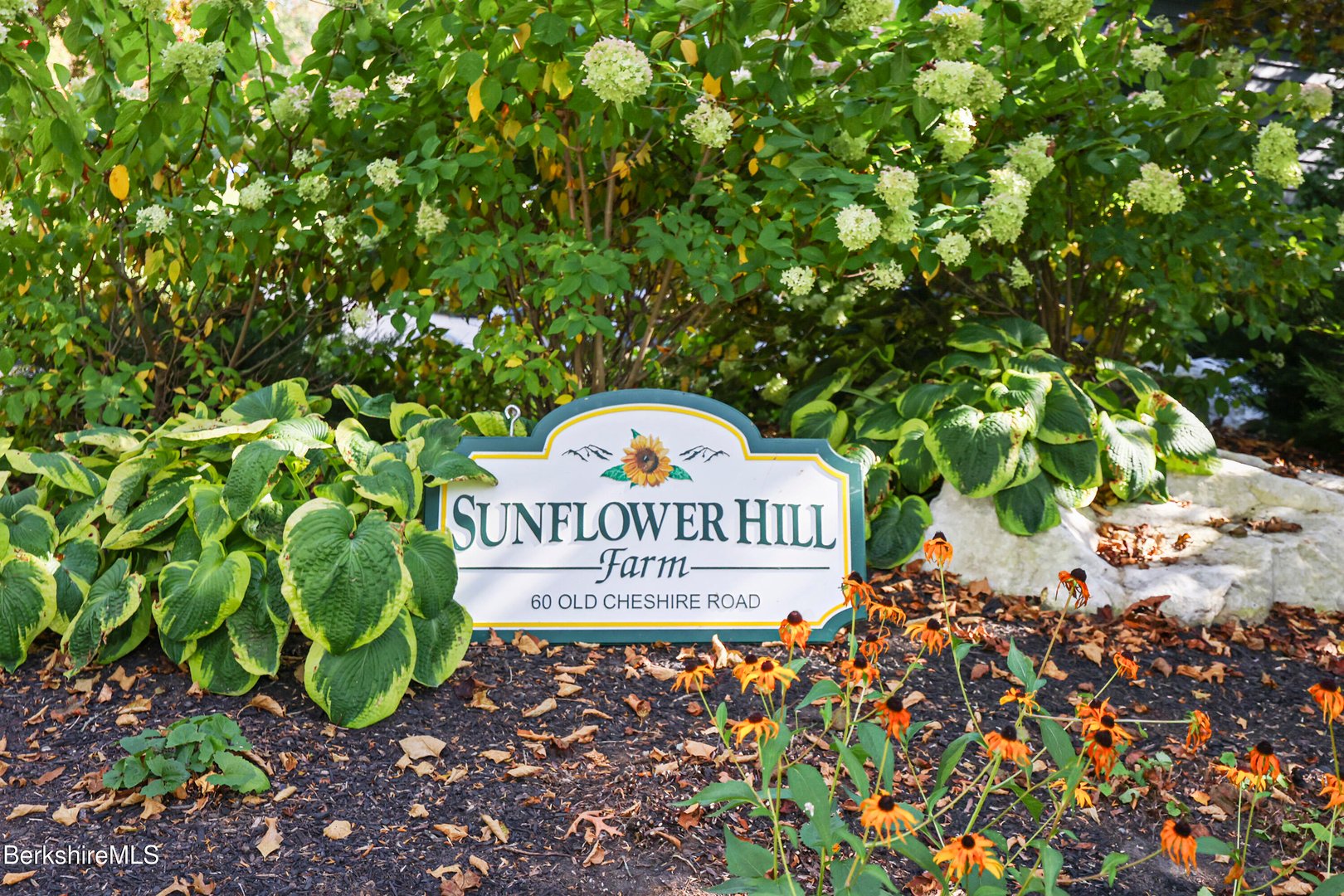 60 Old Cheshire Rd Photo 5