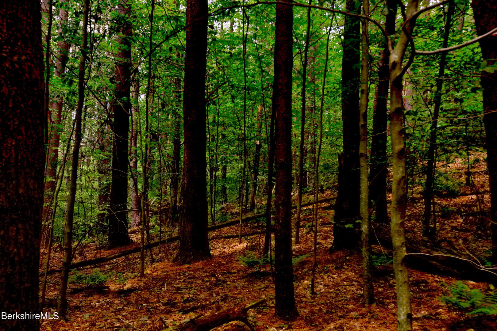 66 Scott Rd Photo 12