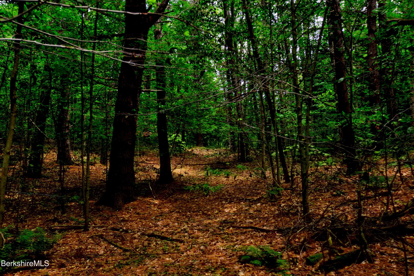 66 Scott Rd Photo 13