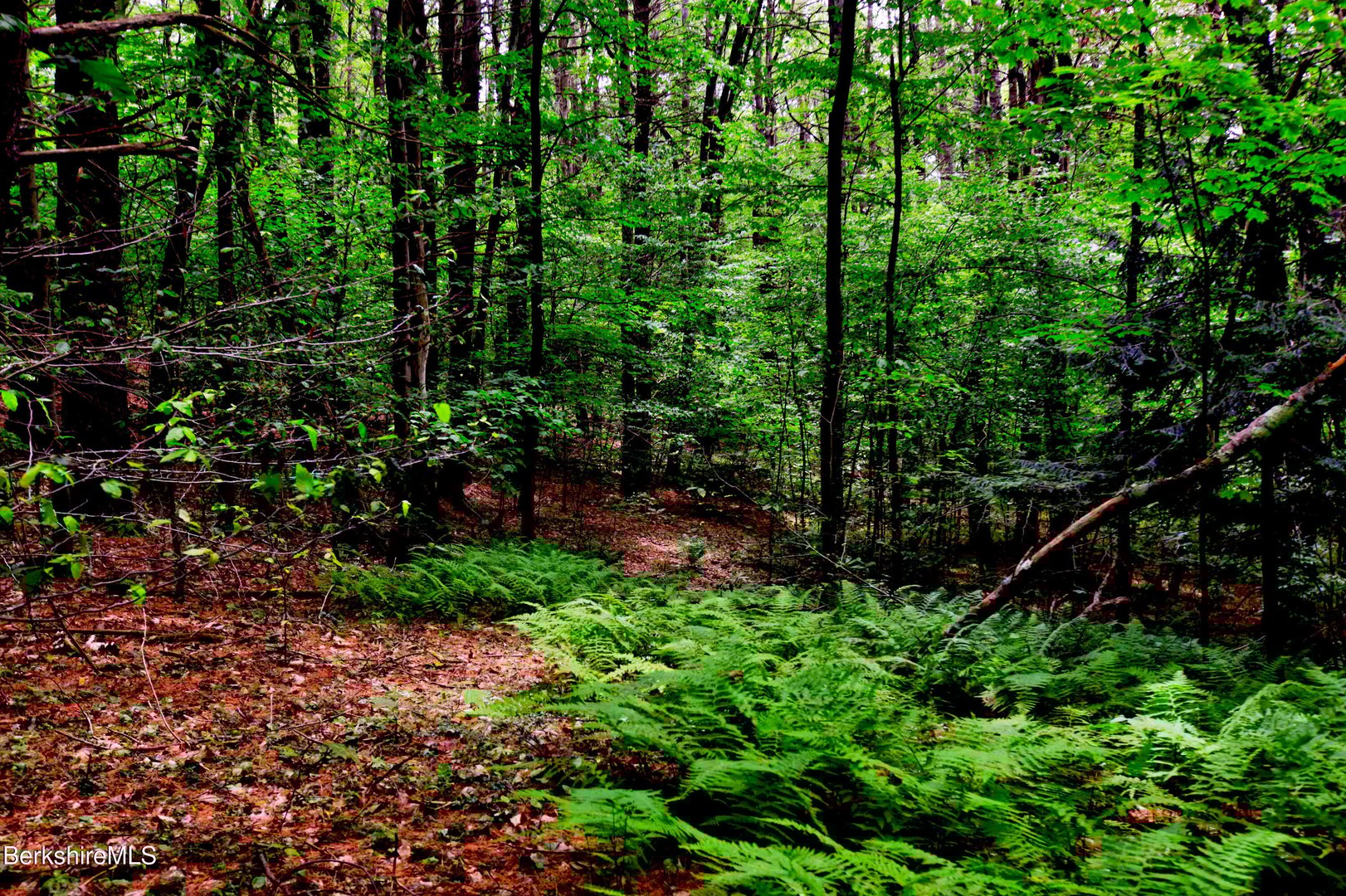 66 Scott Rd Photo 14