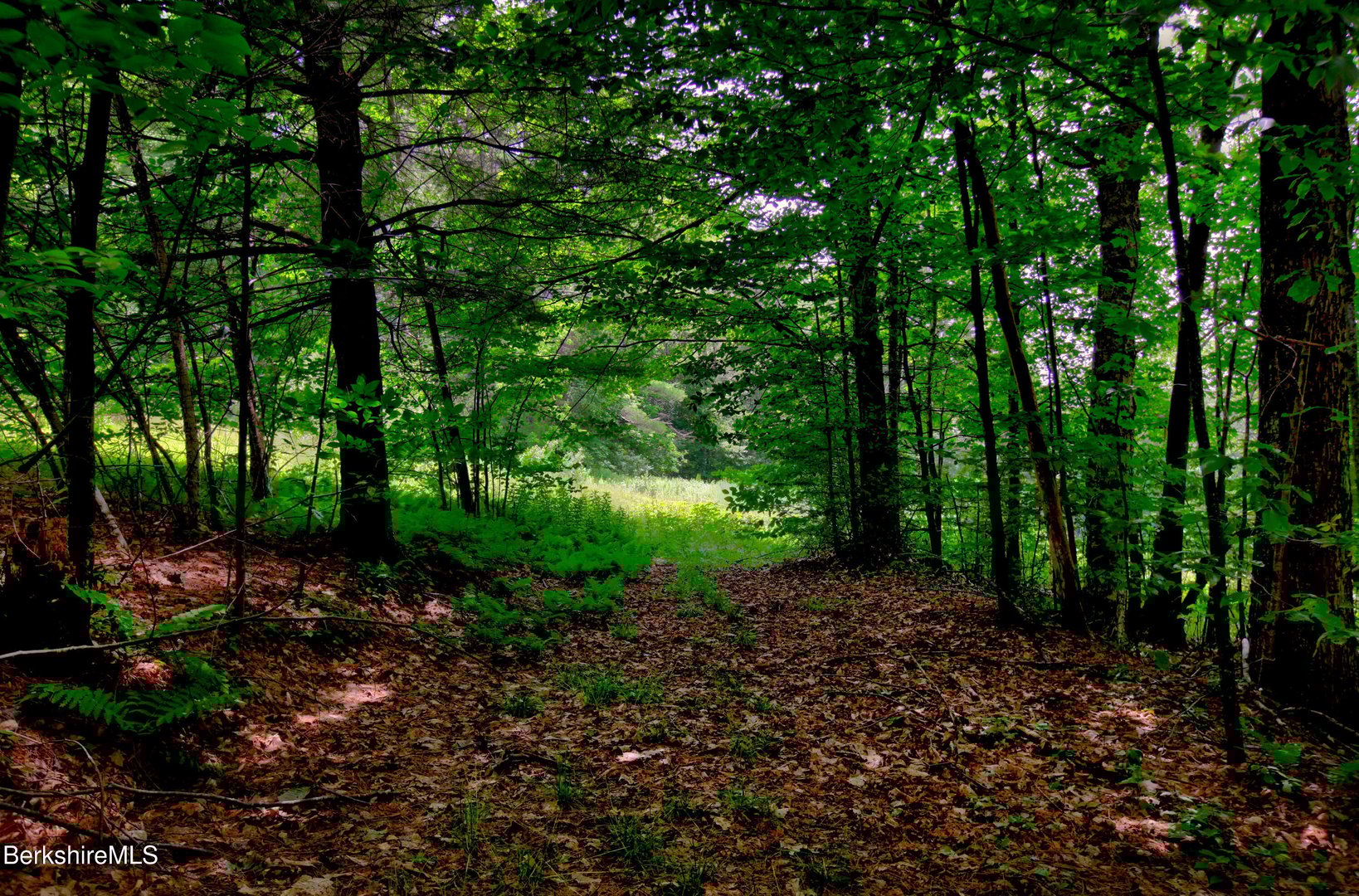 66 Scott Rd Photo 10