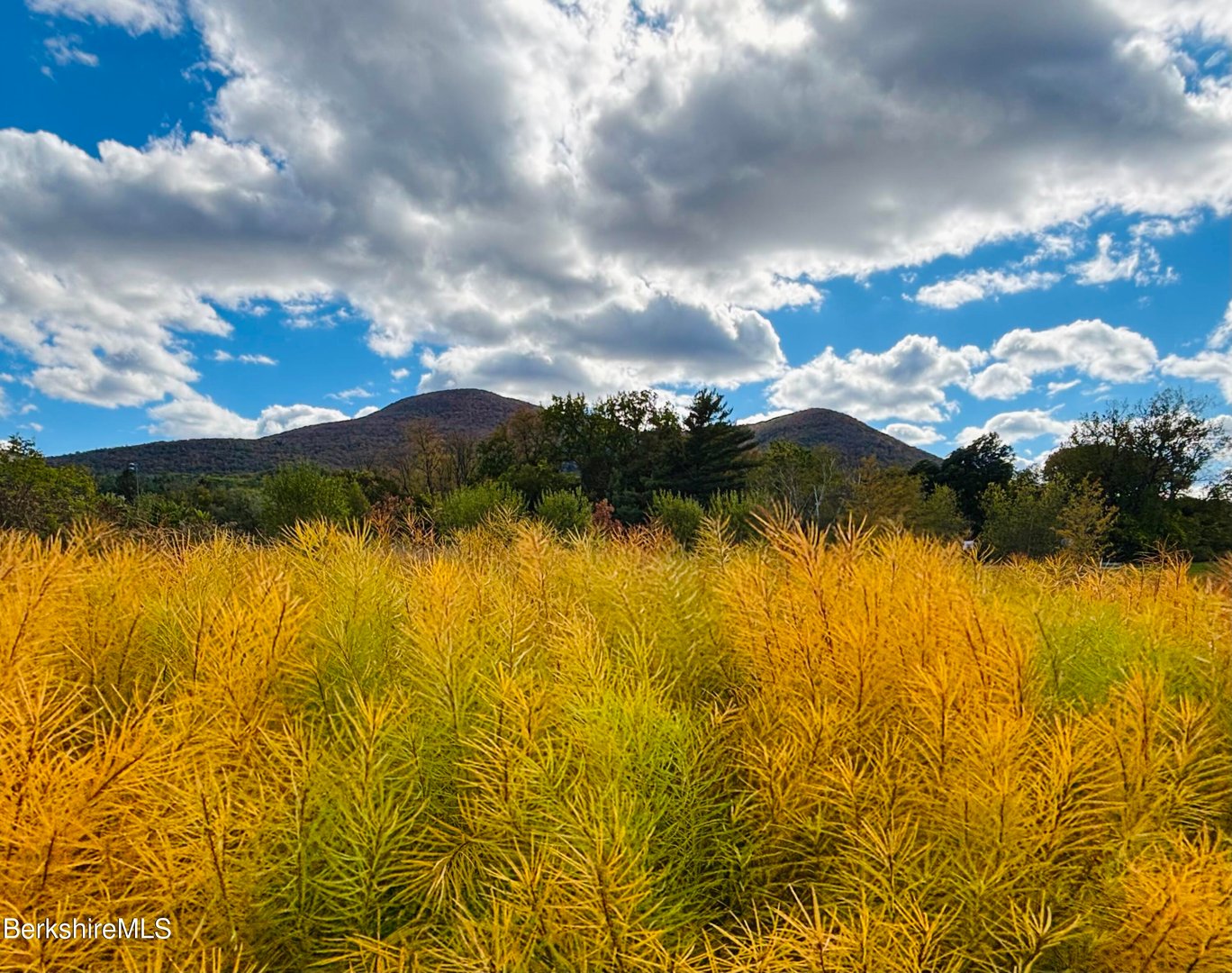 520 State Rd  #208 Photo 17