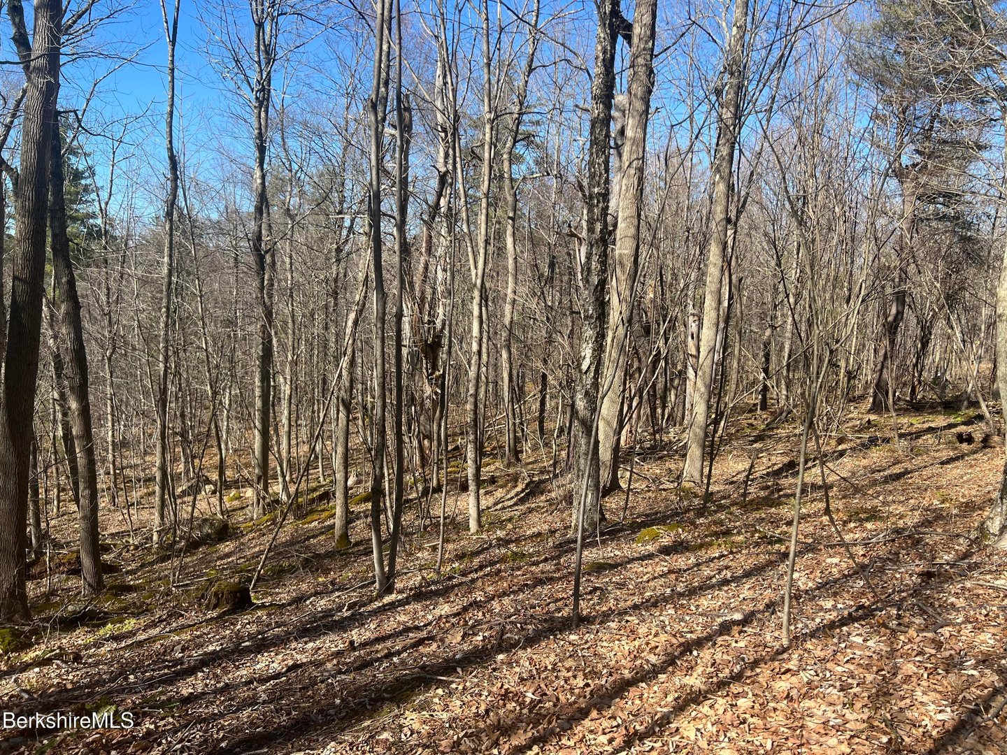 0 Goose Pond Rd Photo 1