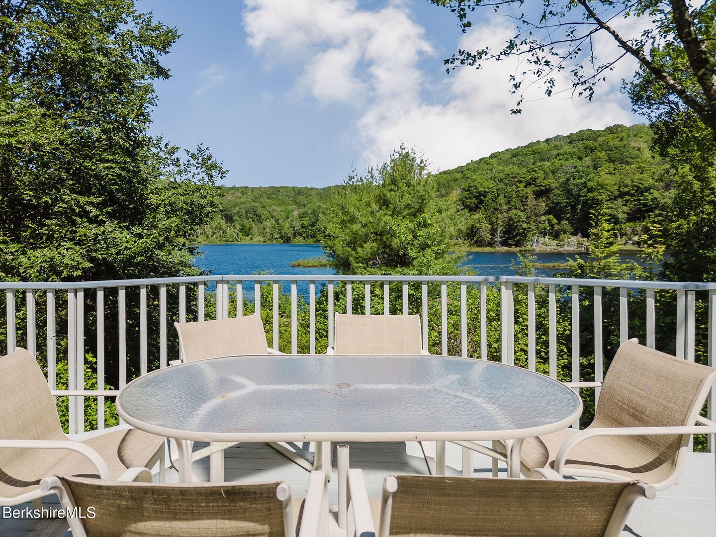 119 Hayes Pond Rd Photo 4