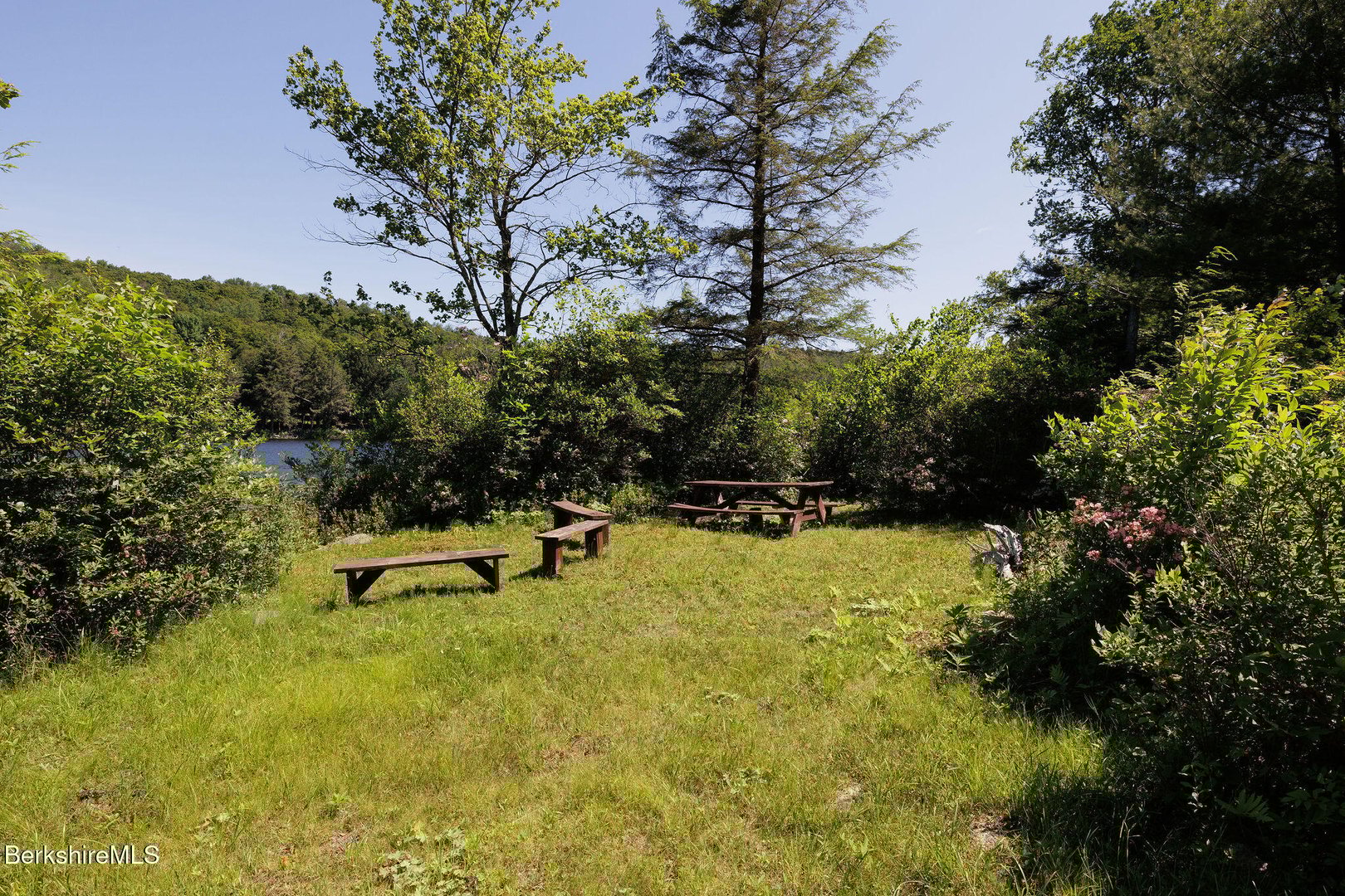 119 Hayes Pond Rd Photo 44