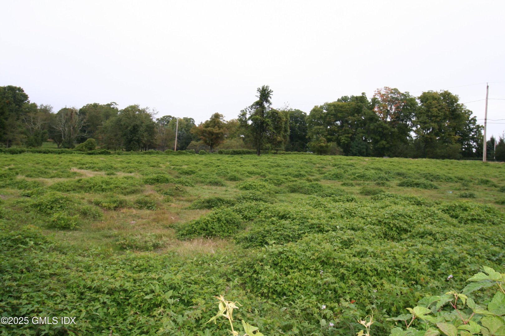 10 Cliffdale Road Photo 7