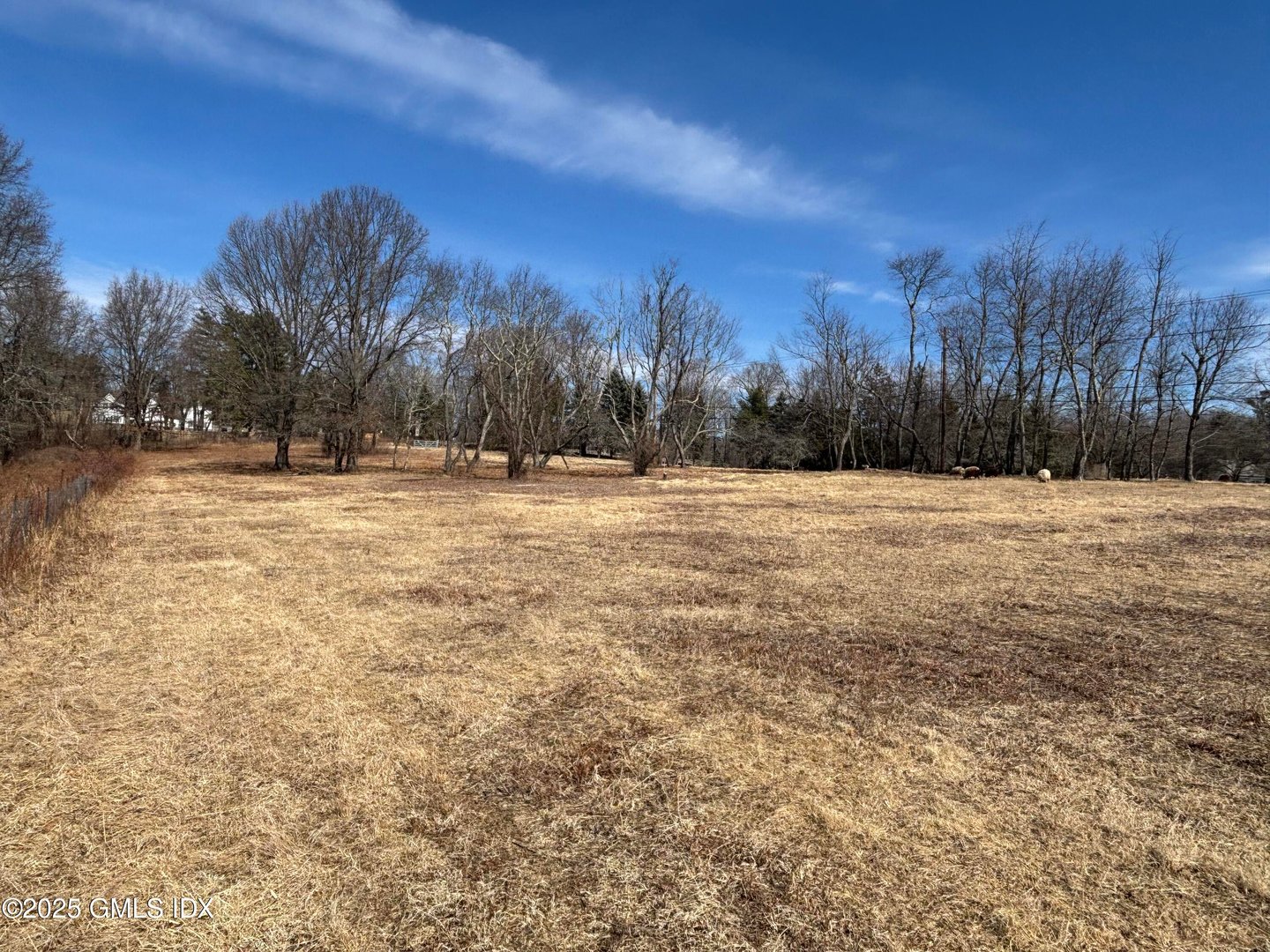 10 Cliffdale Road Photo 10