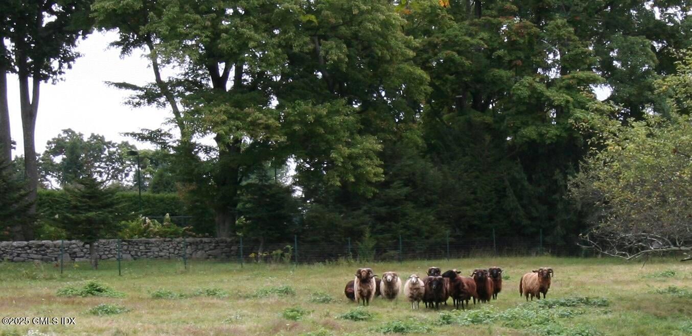 10 Cliffdale Road Photo 4