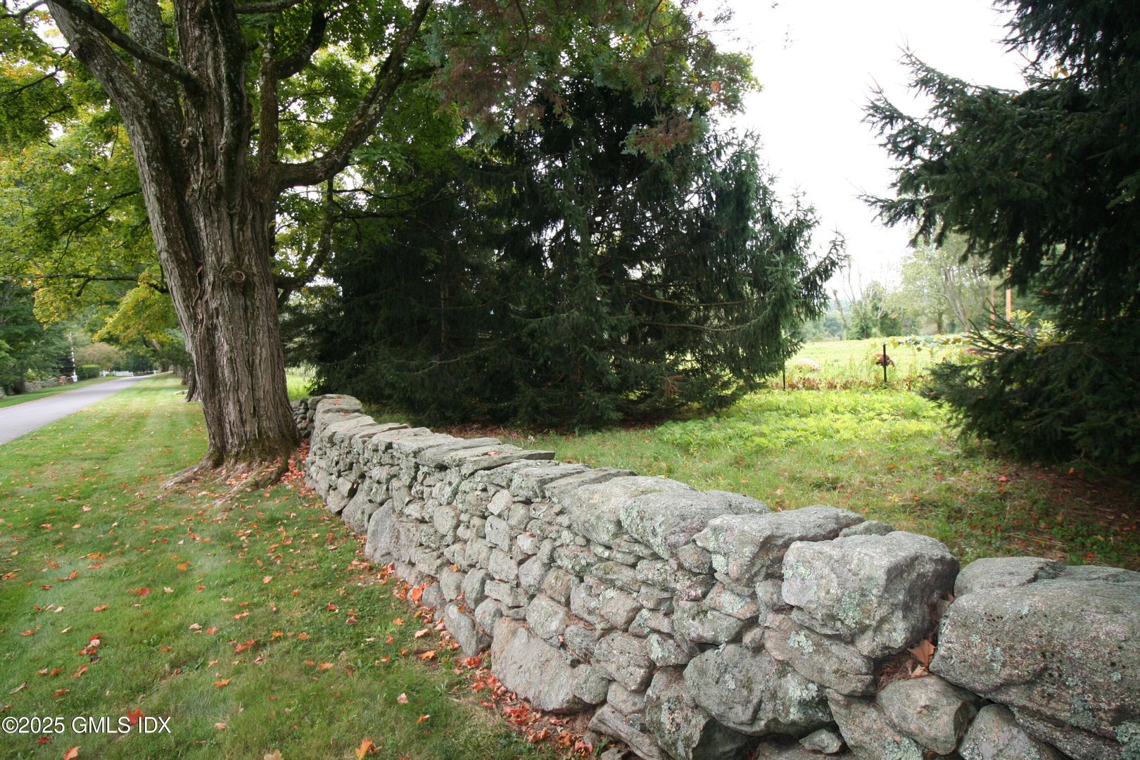 10 Cliffdale Road Photo 6