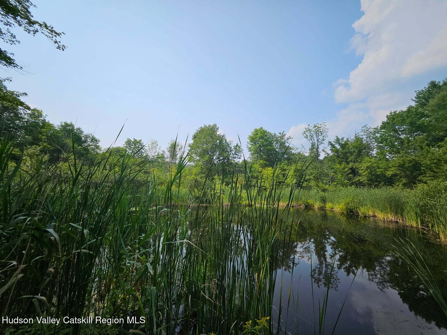 3687 County Route 9 Photo 14