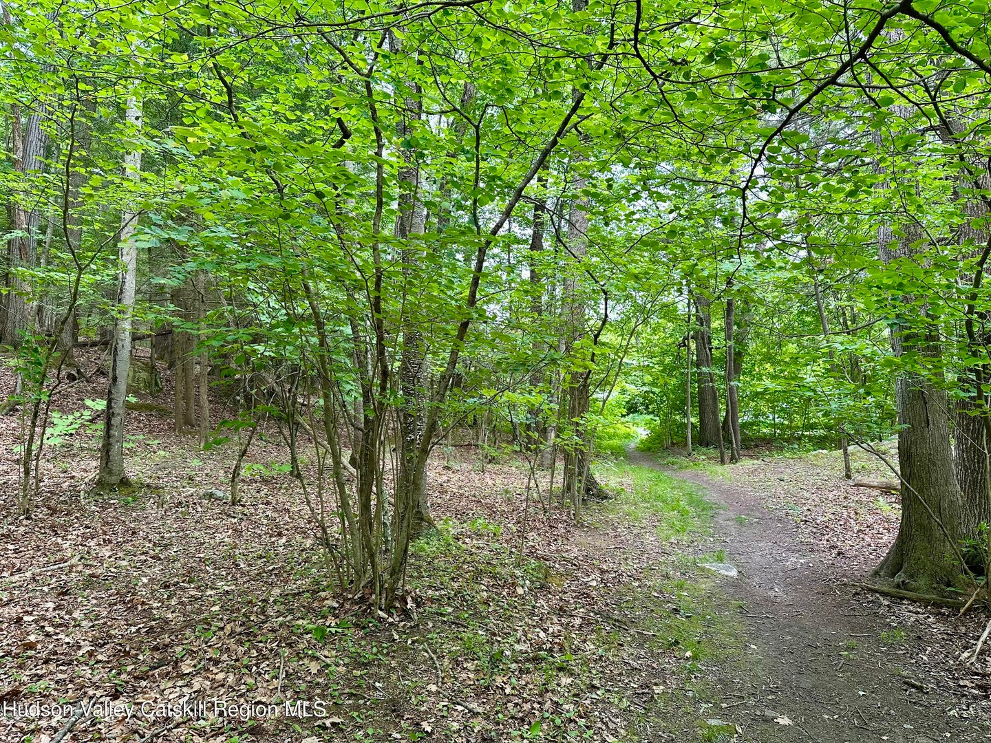 0 Lake Mansfield Road Photo 3