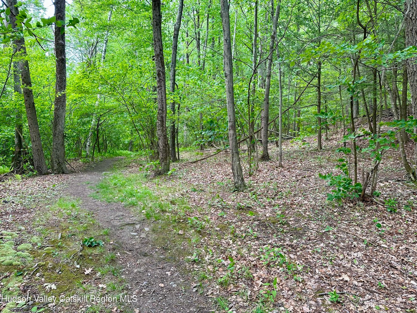 0 Lake Mansfield Road Photo 4