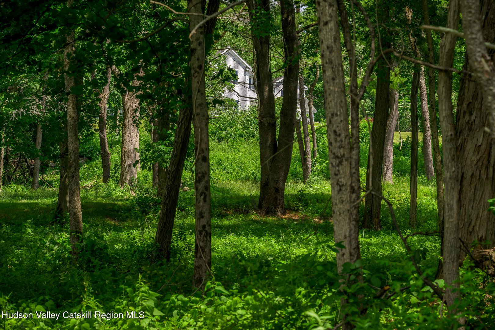 178 Us-20 Photo 40