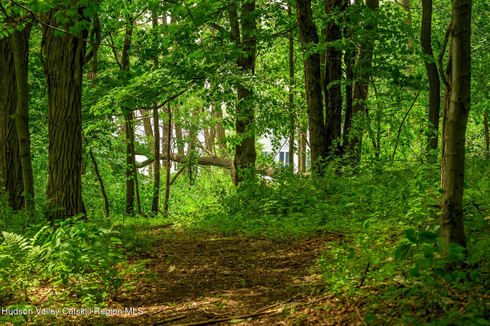 178 Us-20 Photo 39
