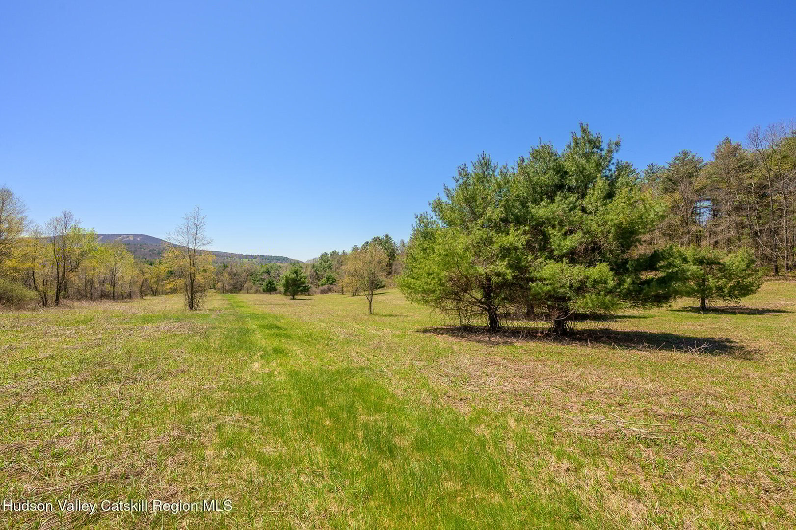 0 Mitchell Street Photo 16