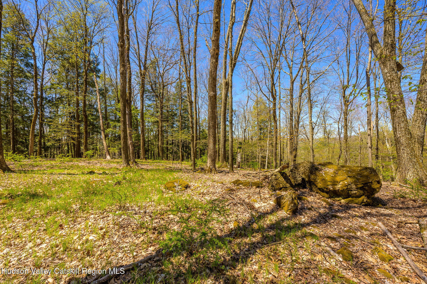 0 Mitchell Street Photo 25