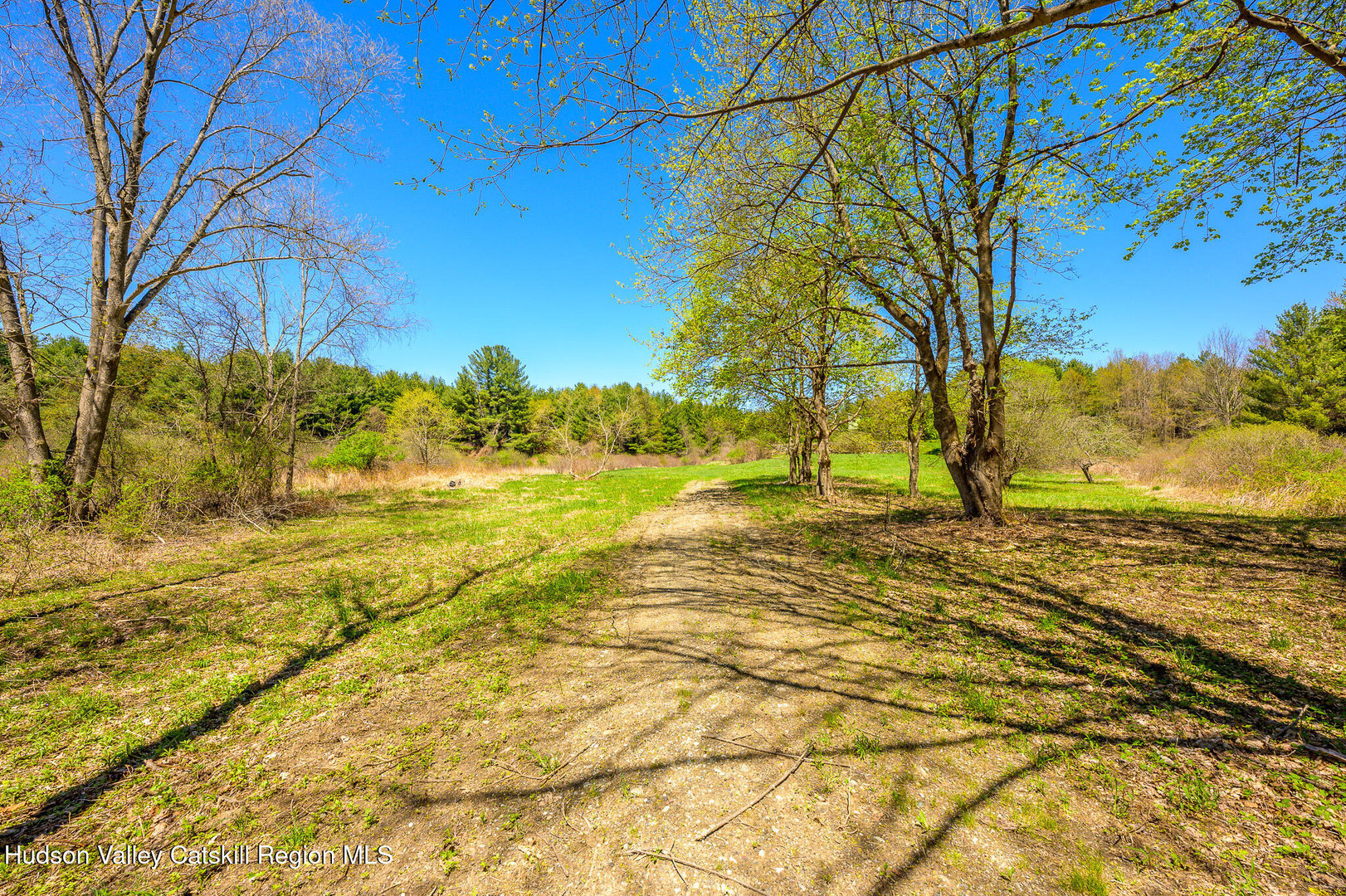 0 Mitchell Street Photo 7