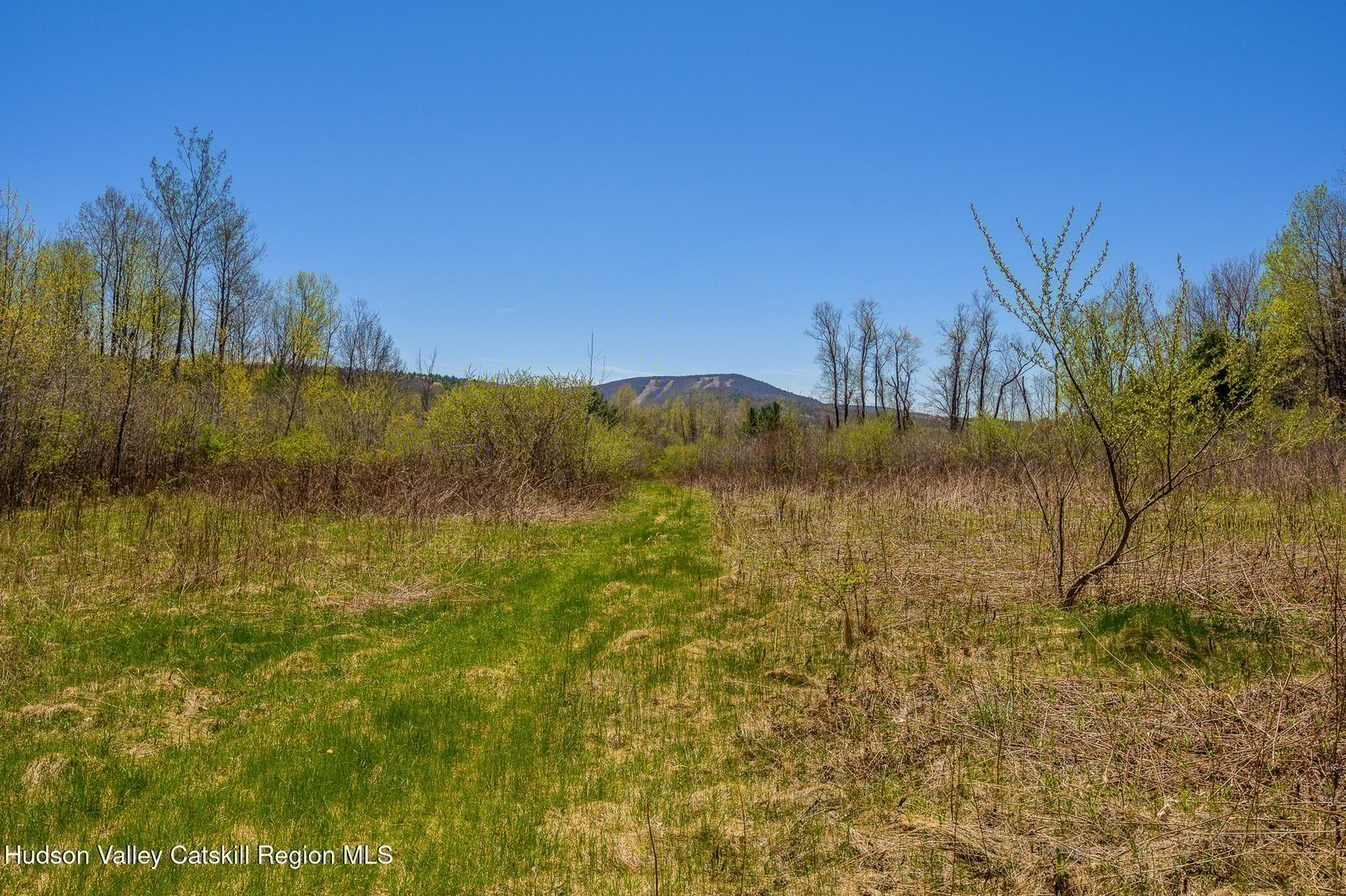 0 Mitchell Street Photo 18