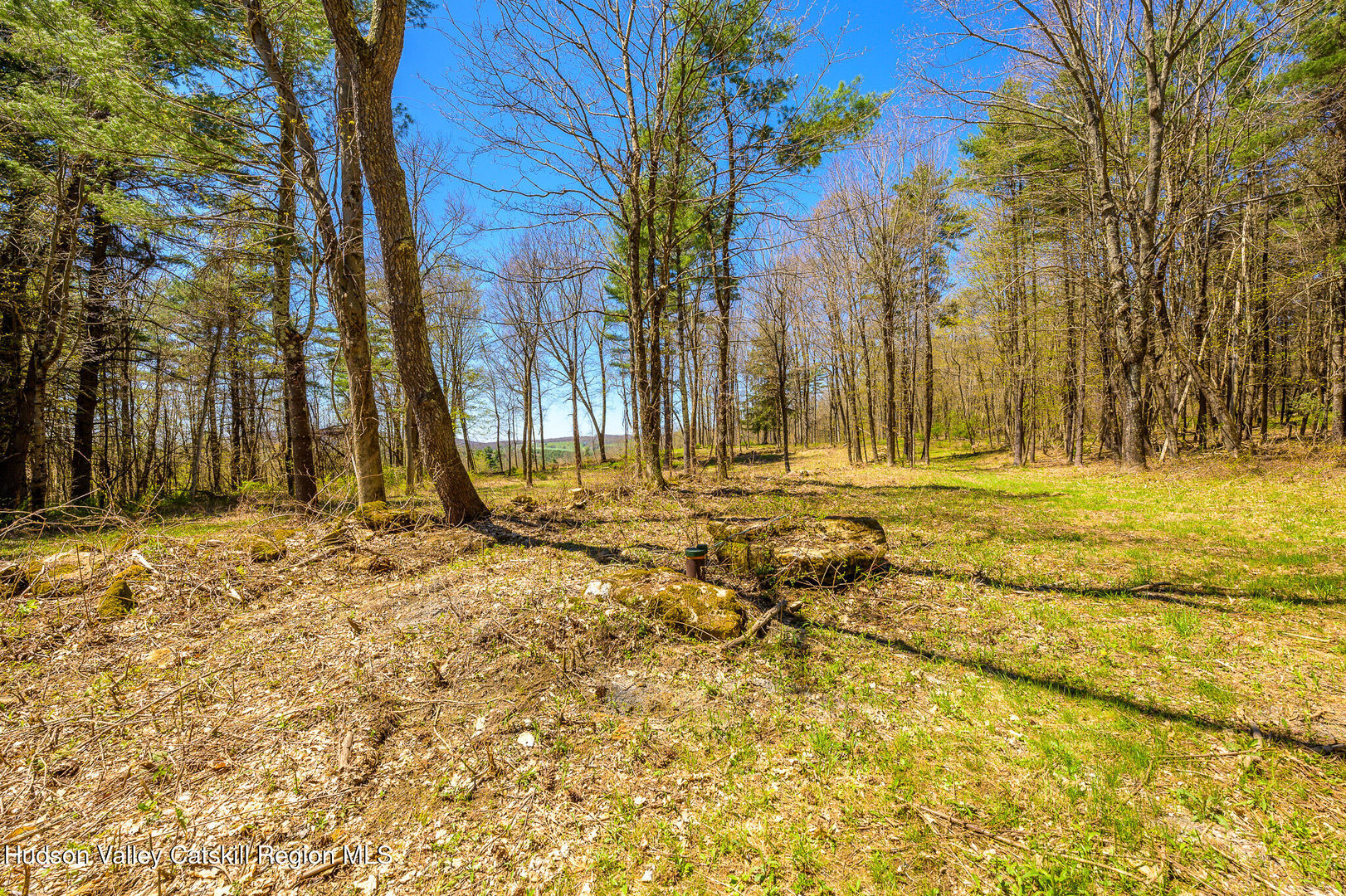 0 Mitchell Street Photo 21