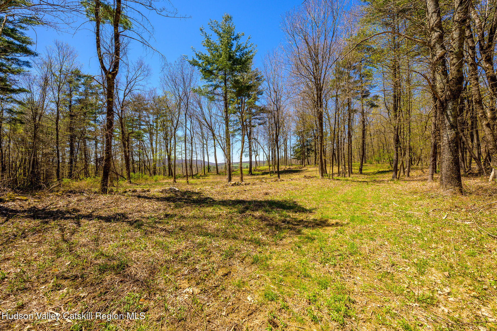 0 Mitchell Street Photo 27