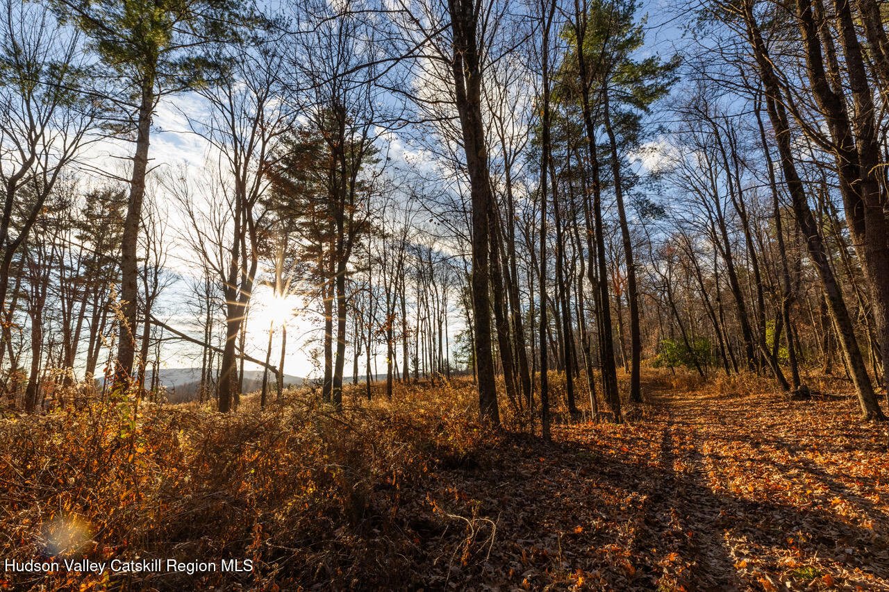 0 Mitchell Street Photo 30