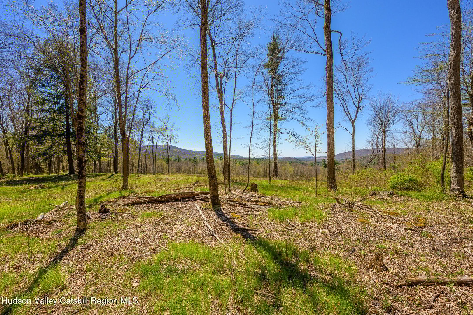 0 Mitchell Street Photo 24