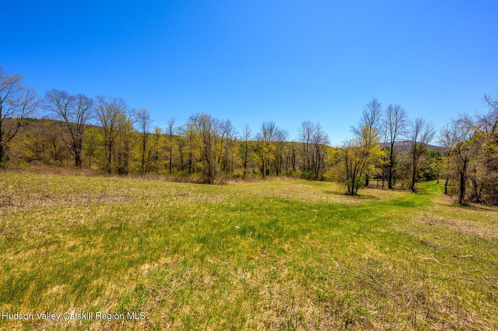 0 Mitchell Street Photo 11