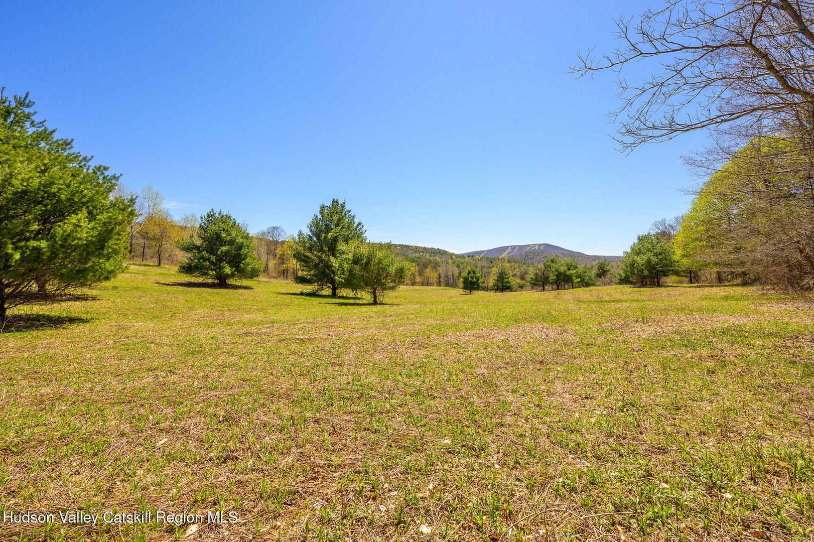 0 Mitchell Street Photo 29