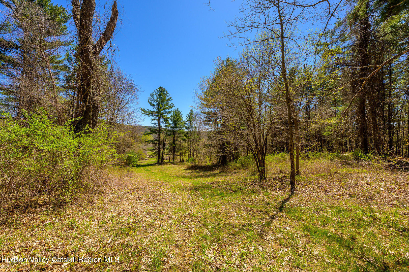 0 Mitchell Street Photo 20